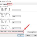 Snagit Capture Preferences window, Hotkeys tab is selected, and the "Allow Snagit to override other hotkey assignments" checkbox is highlighted.