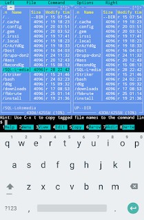 Screenshot of Midnight Commander interface in Termux